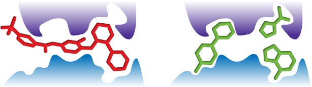 Image obtained from Advances in Fragment-Based Drug Discovery by Laura Elizabeth Mason