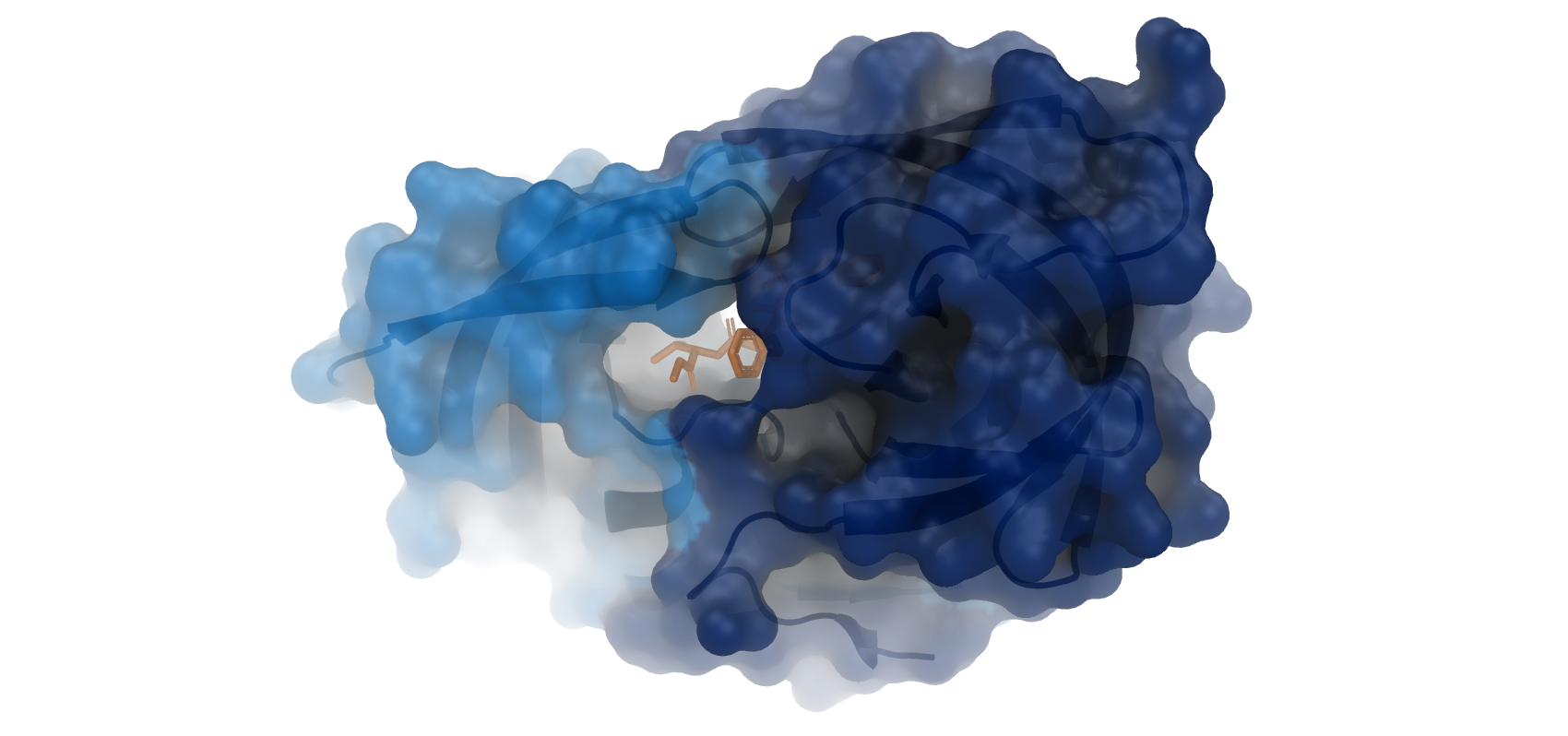 blue protein with orange inhibitor